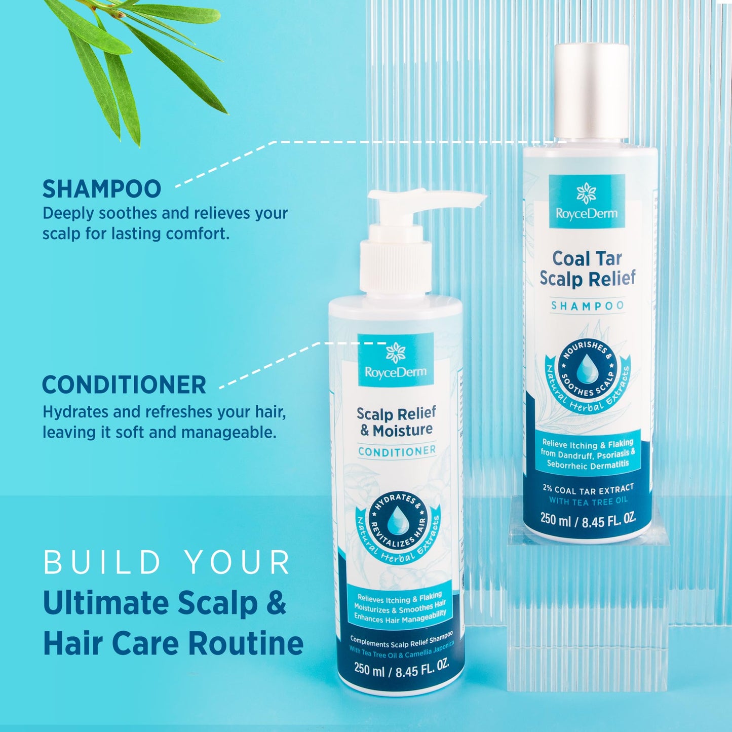 Roycederm Scalp Relief & Moisture Conditioner | Hydrating Jojoba, Aloe Vera & Camellia Oil