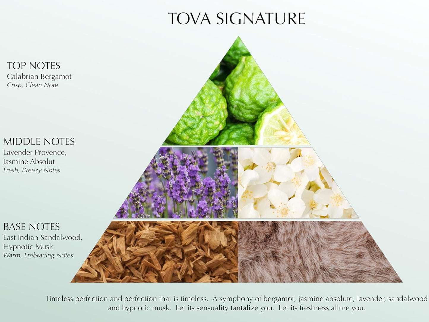 Tova Signature Body Mist – Fresh Floral Fragrance with Jasmine, Bergamot & Sandalwood | USA-Made & Cruelty-Free | 8 oz