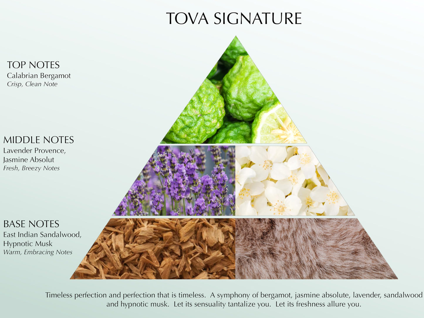 Tova Signature Shower Gel – Moisturizing Floral Cleanser (6.7 oz) – USA Made & Cruelty Free