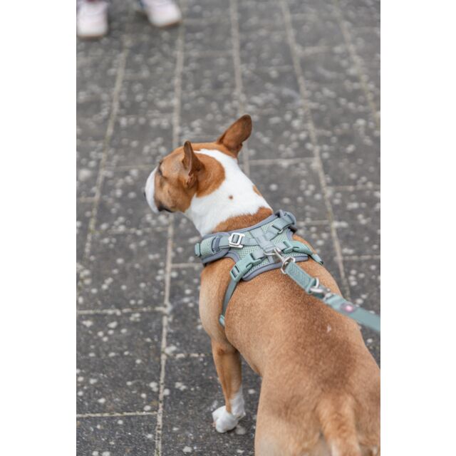 Trixie Premium FlexMesh Harness