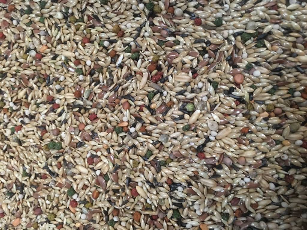 Vaesen – Canary Seed Excellent Opti Mix – No.58 (Without Rape)