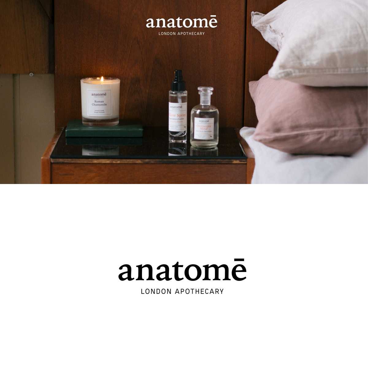anatomē
