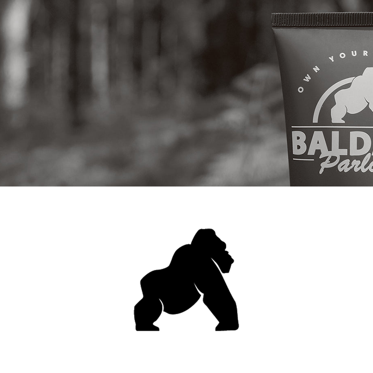 Baldape Parlour