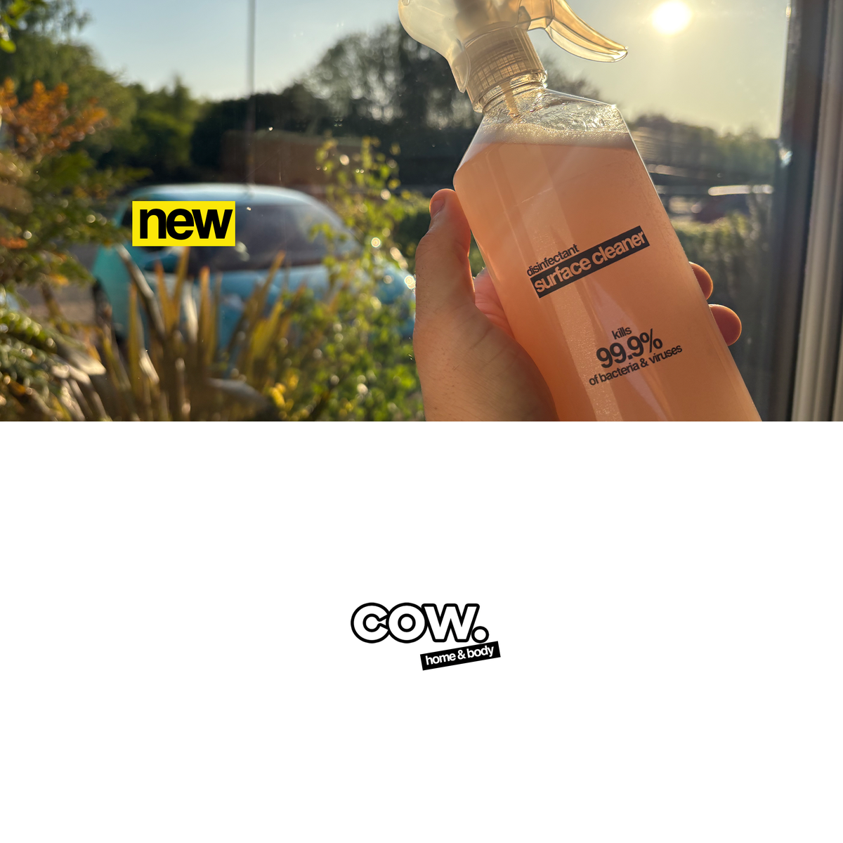 COW Home & Body