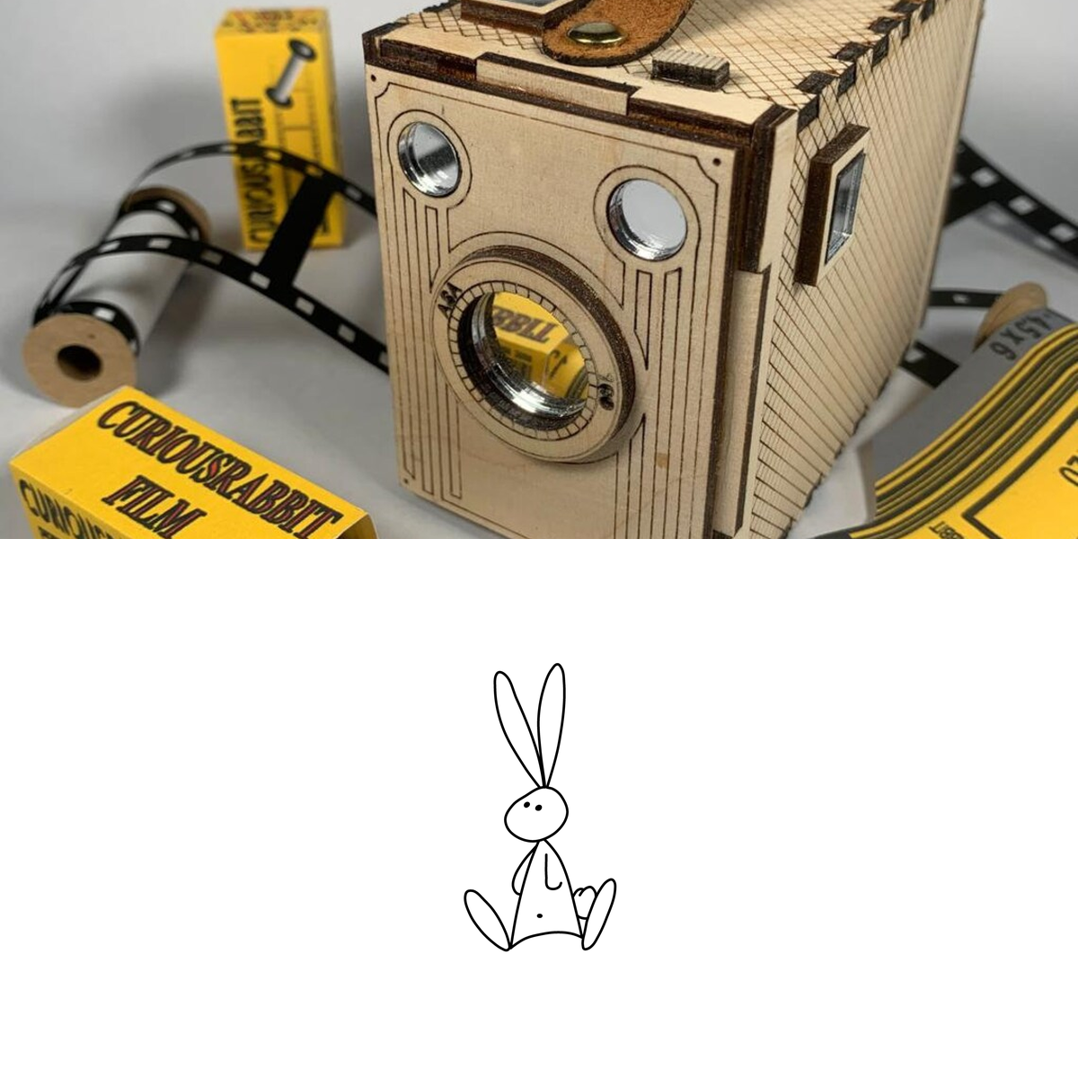 Curious Rabbit
