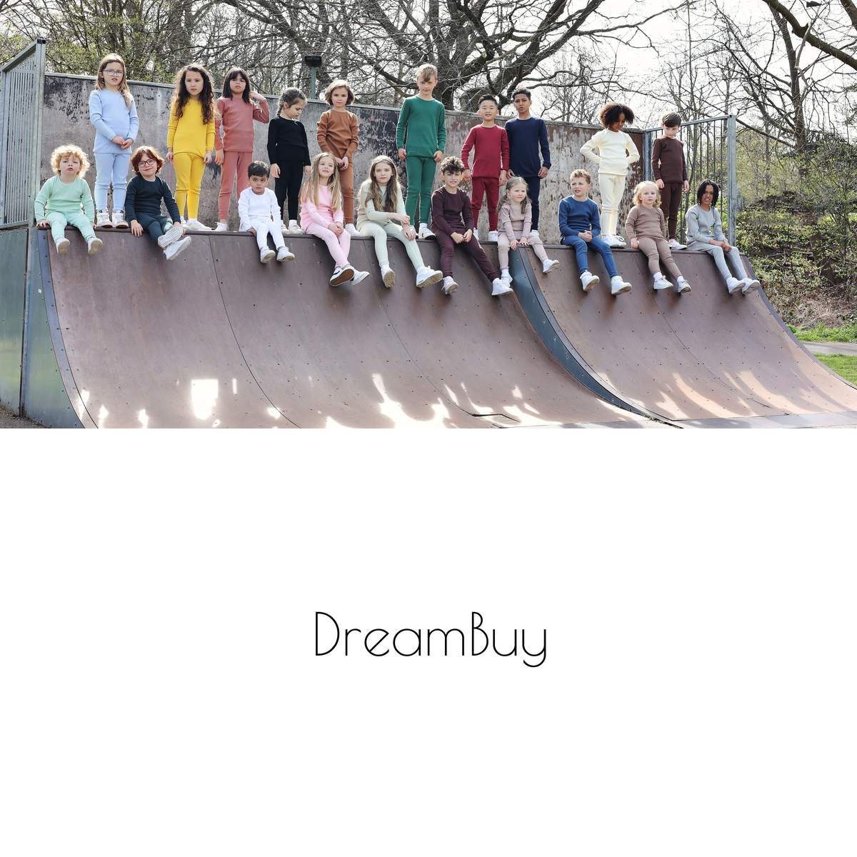 DreamBuy