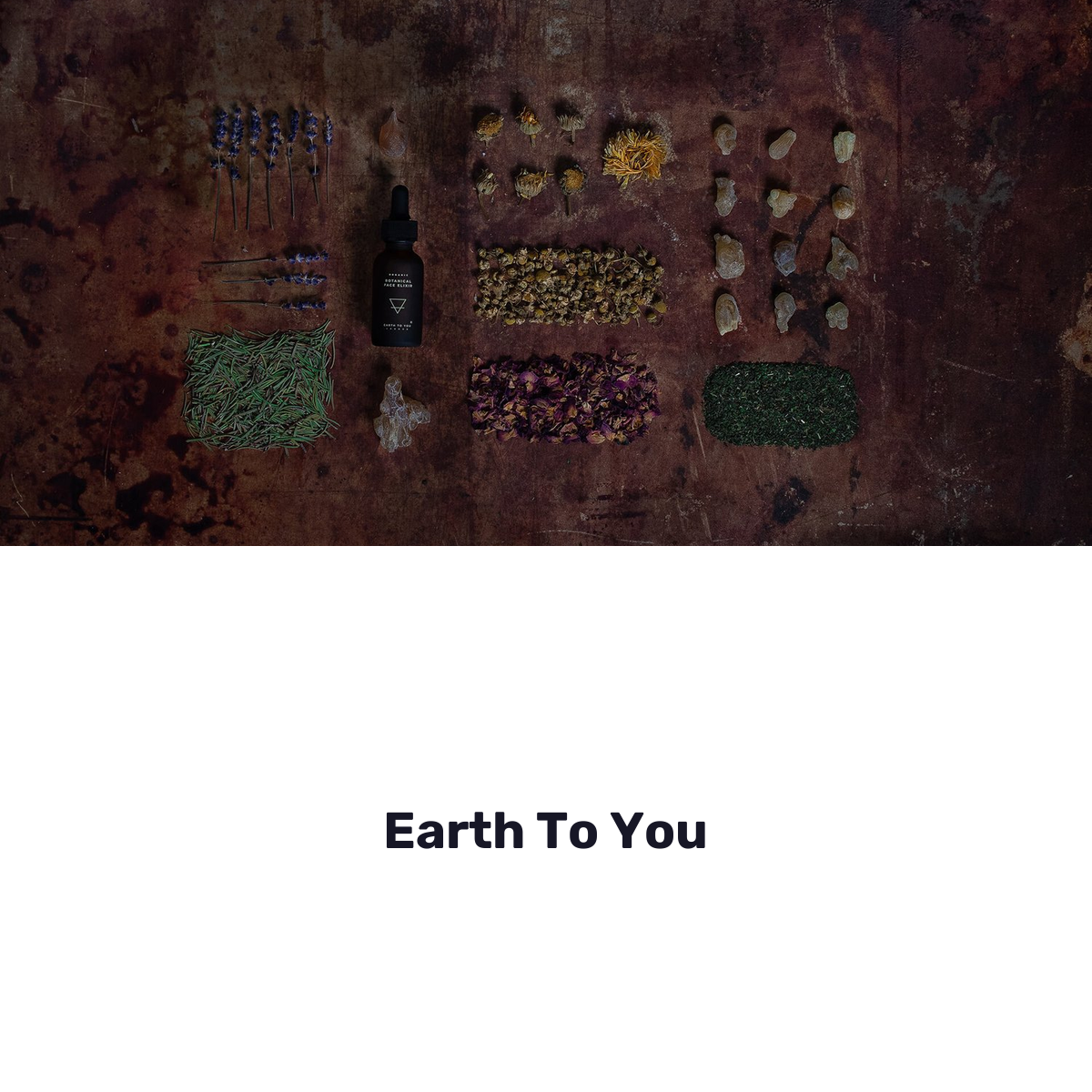 Earth To You