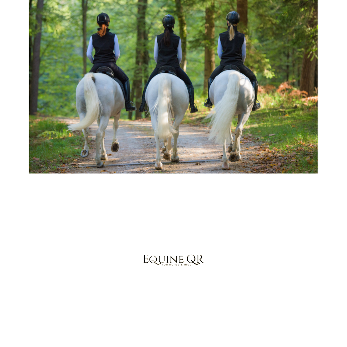 EQUINE QR