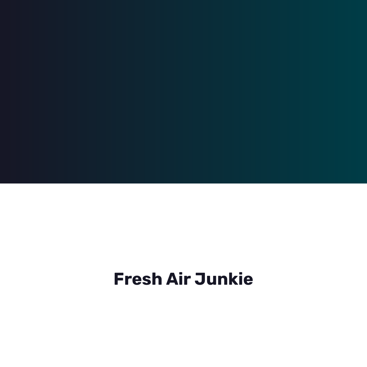 Fresh Air Junkie