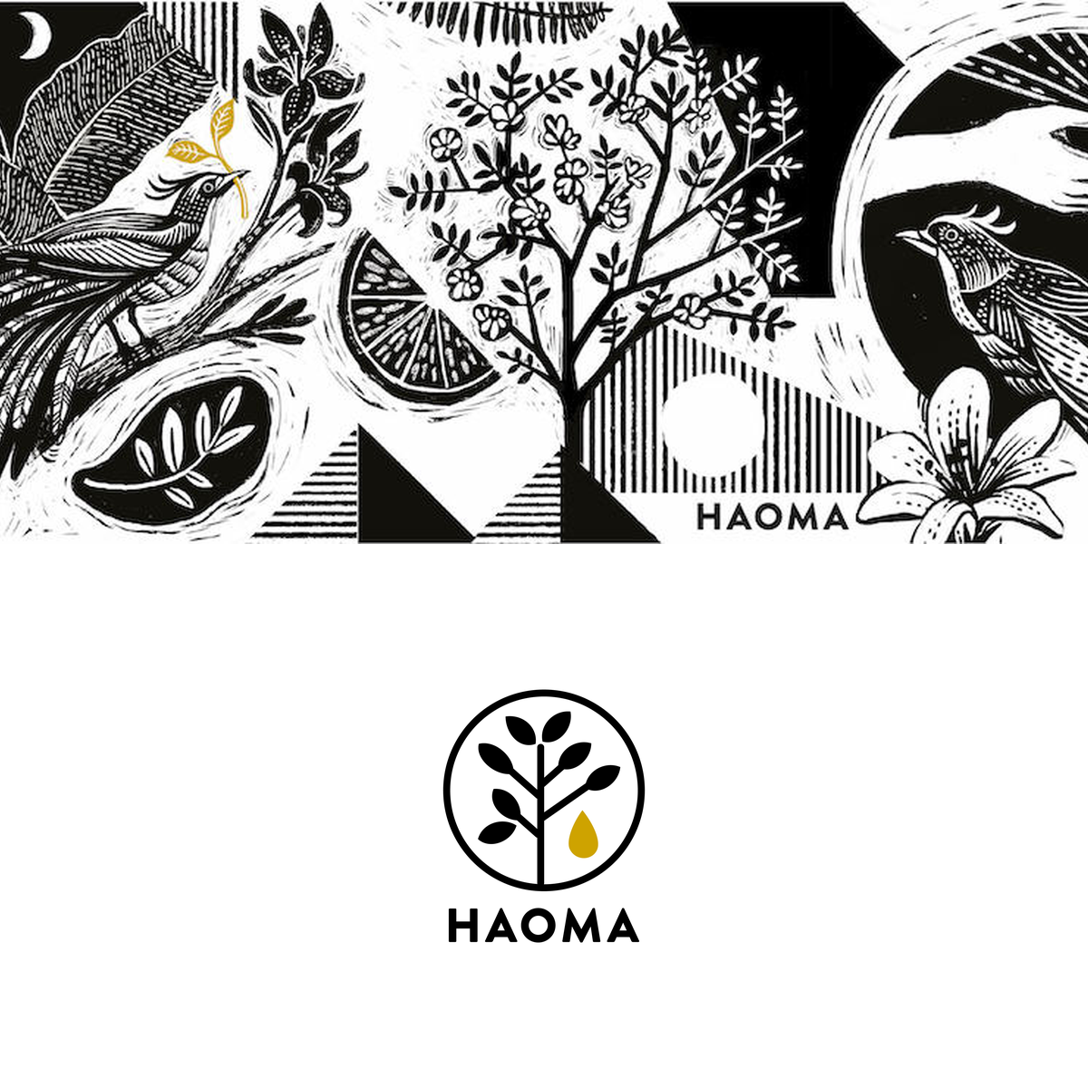 Haoma