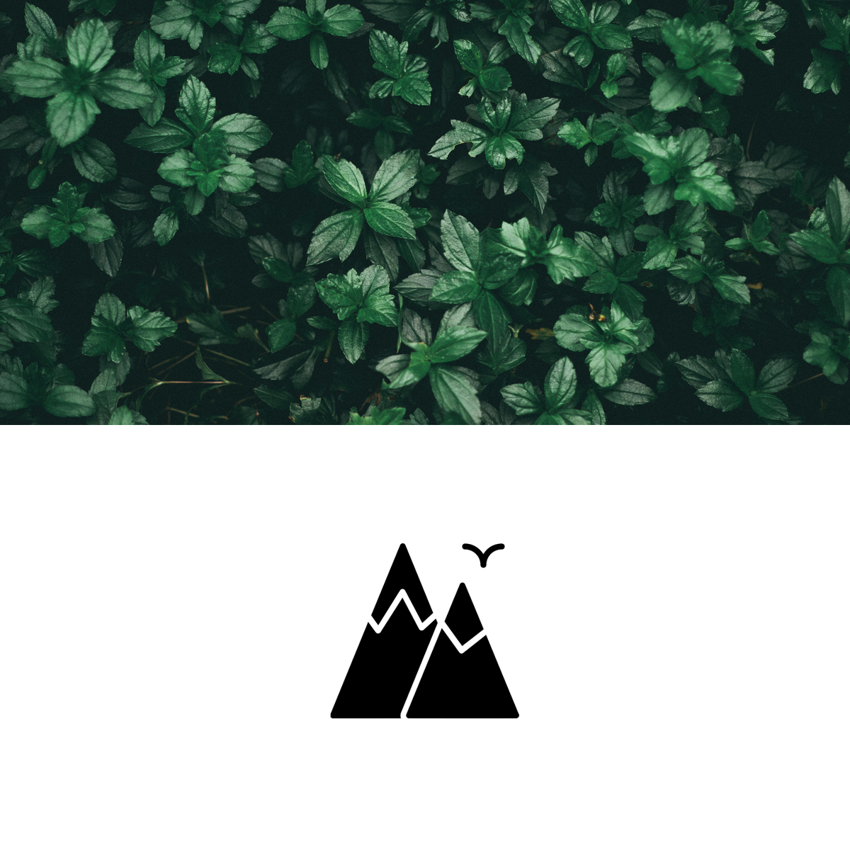HikeWare