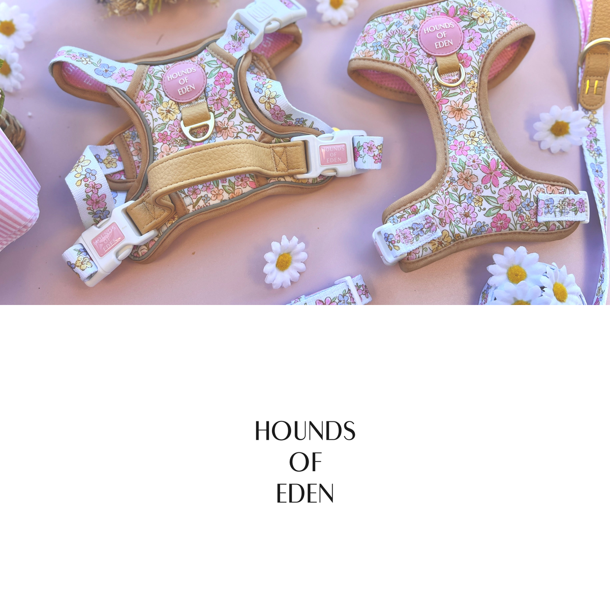 Hounds of Eden