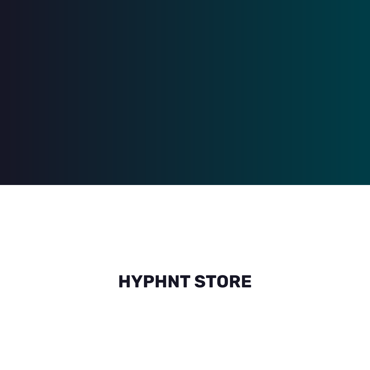 HYPHNT STORE
