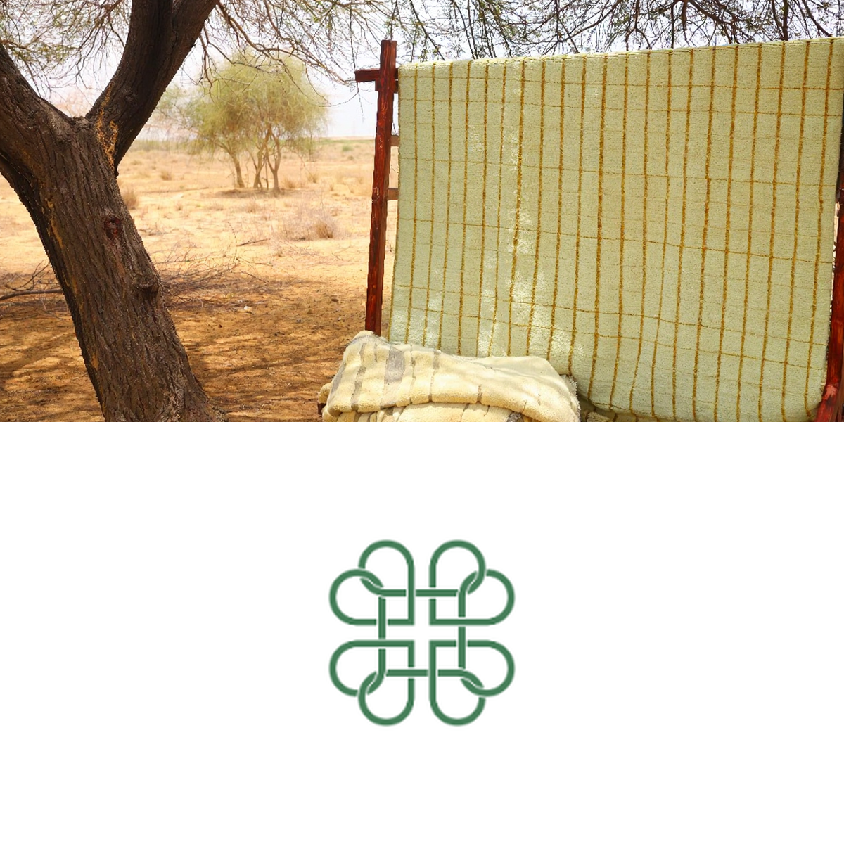 Imaco Rugs
