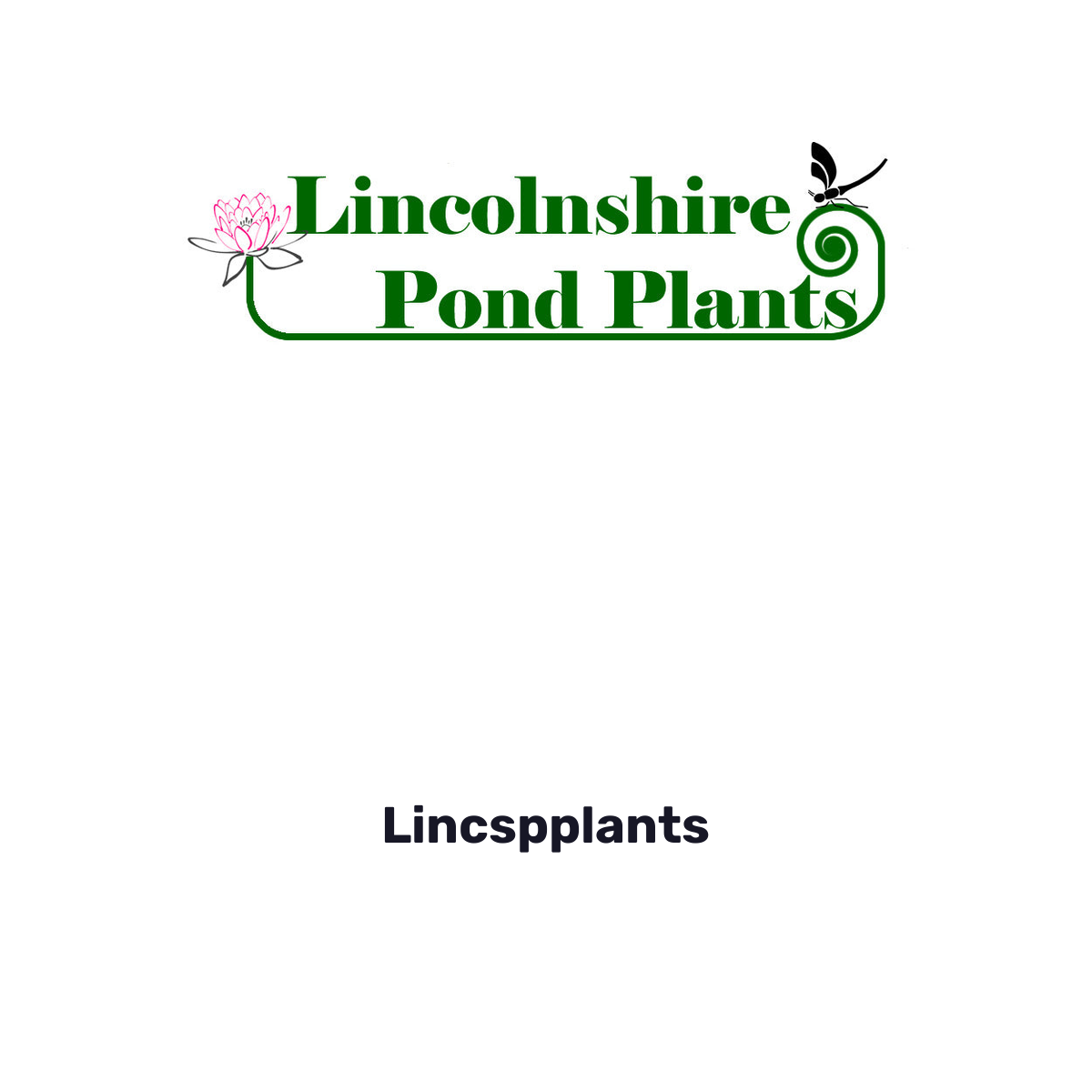 Lincspplants