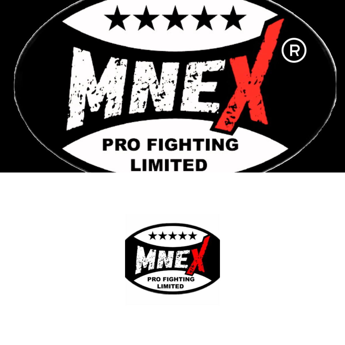 MNEX PRO FIGHTING LIMITED