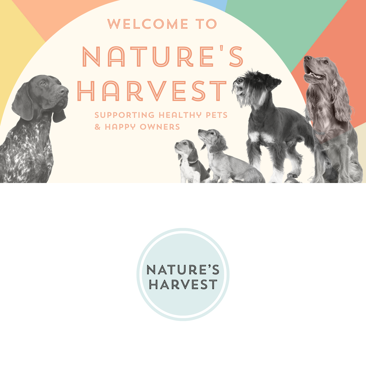 Nature's Harvest Natural Dog Food