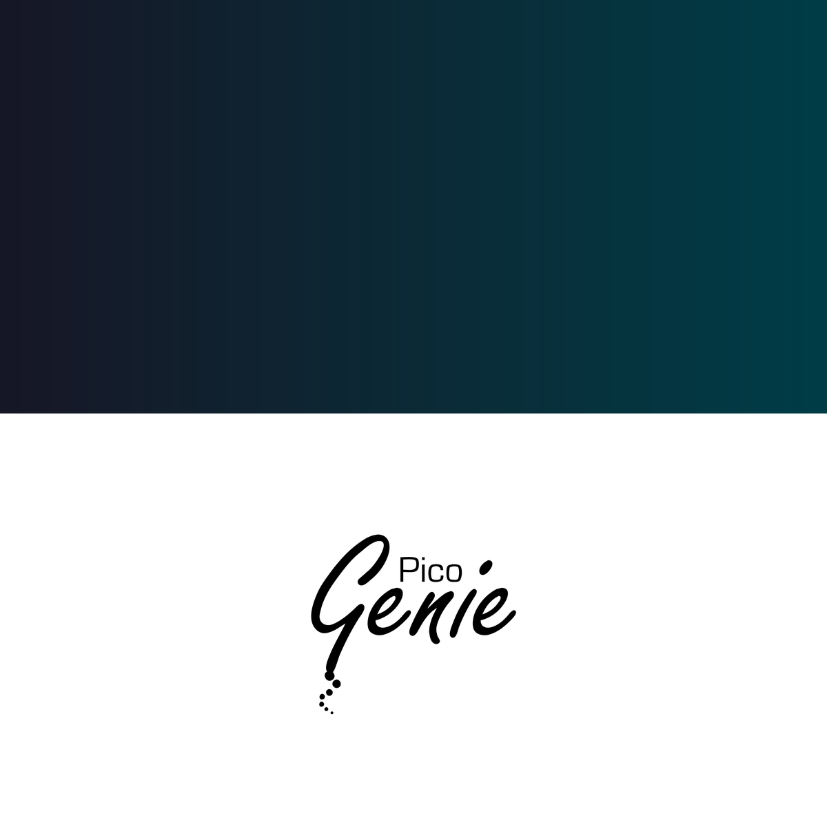 Pico Genie