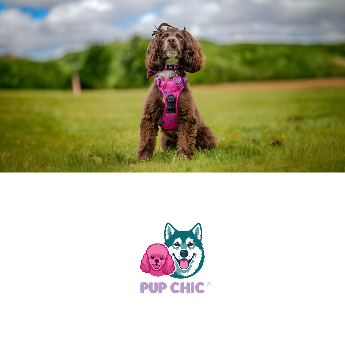 Pup Chic Boutique