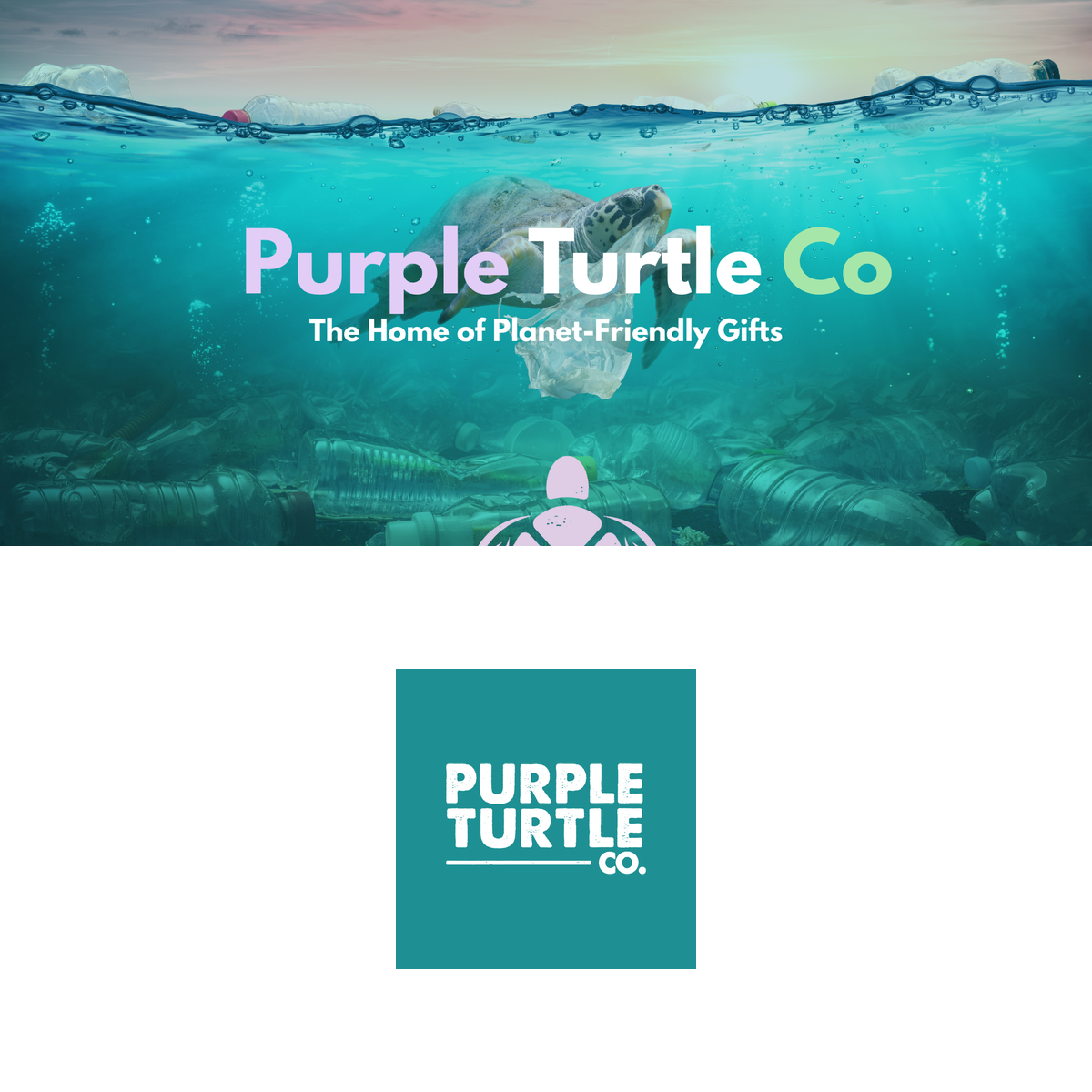 Purple Turtle Co