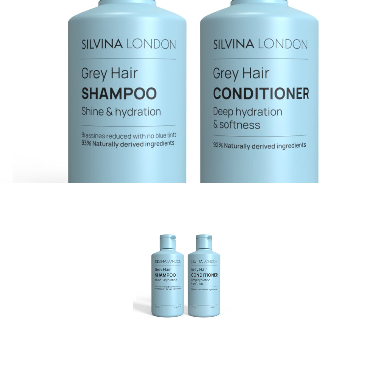 Silvina LONDON