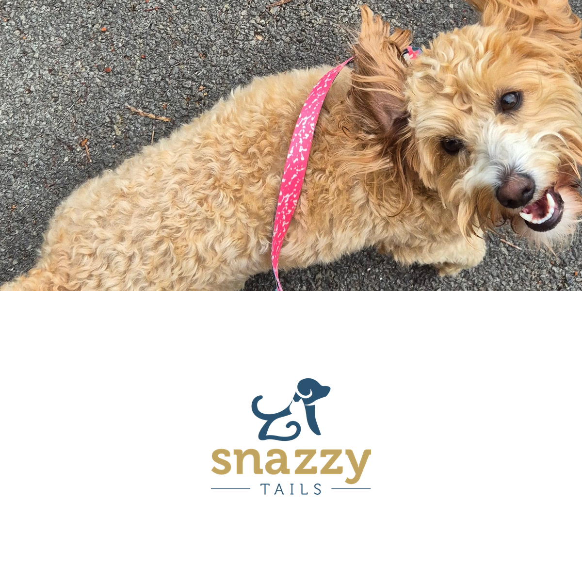SnazzyTails