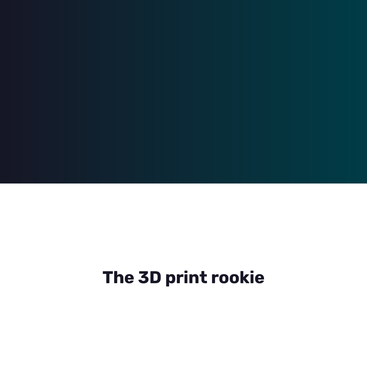 The 3D print rookie