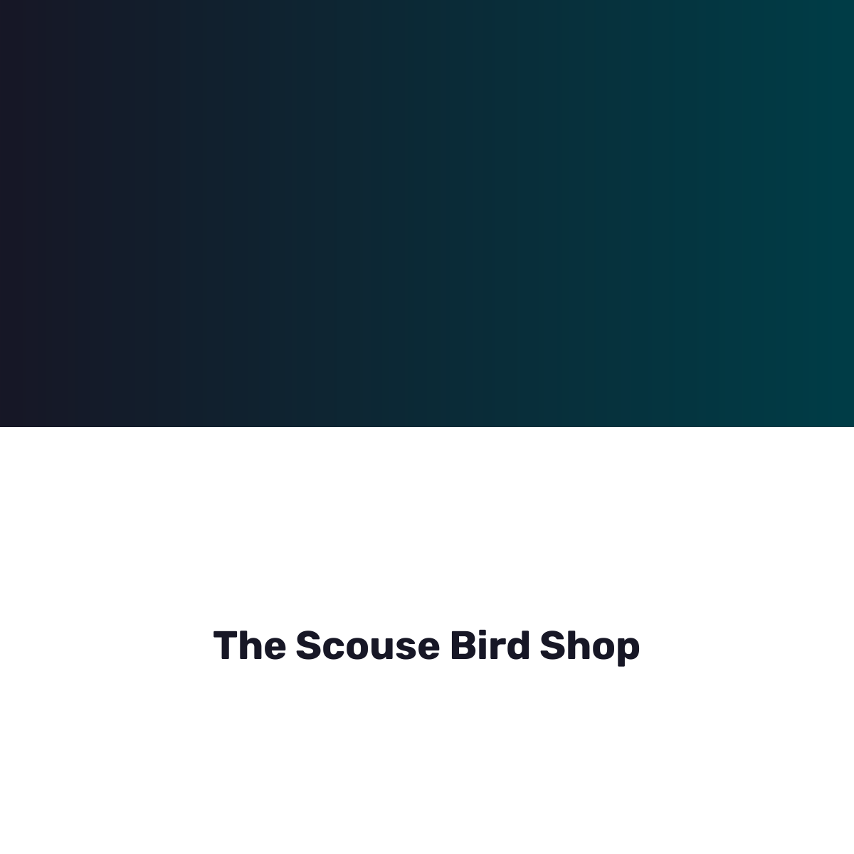 The Scouse Bird Shop
