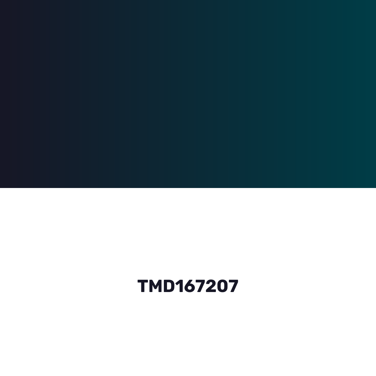 TMD167207