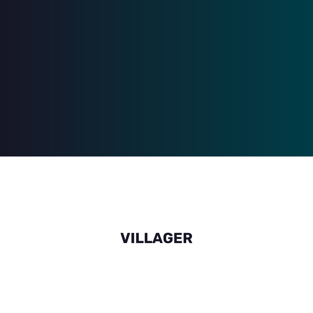 VILLAGER