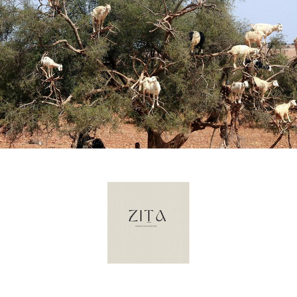 Zita Morocco Skin