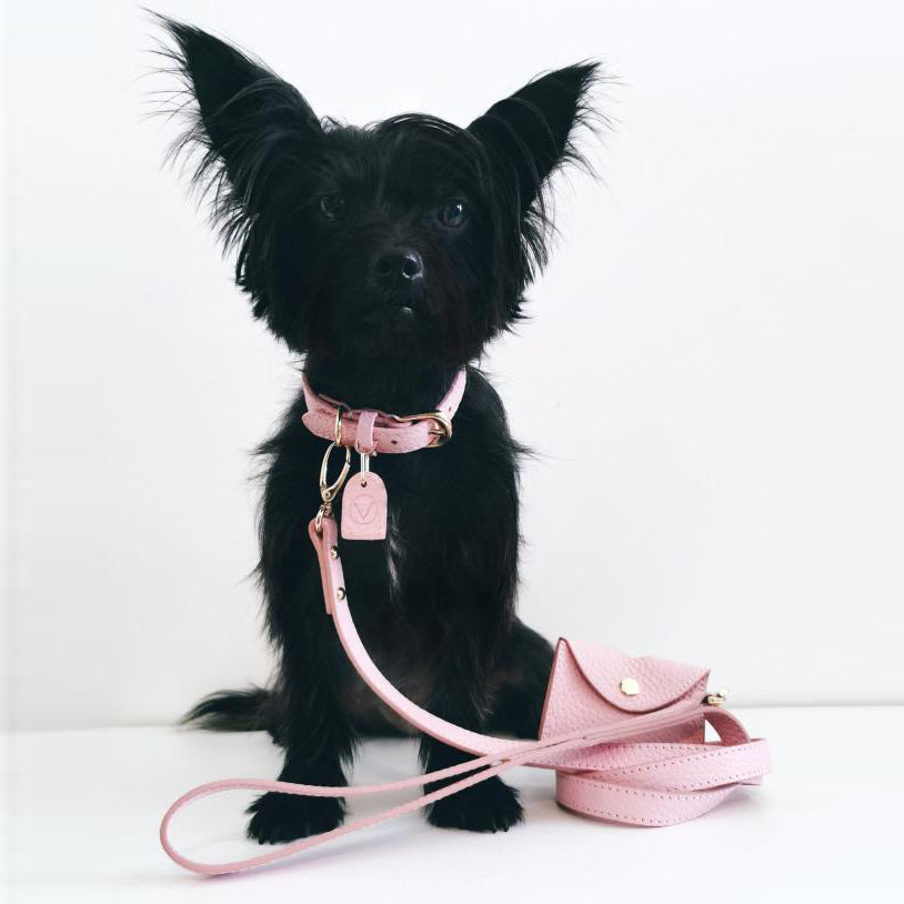 Leather Lead