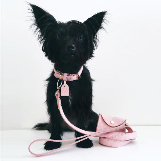 Leather Lead