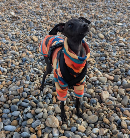 Sherpa Lined Fleece Puppy Jumper - Mountains
