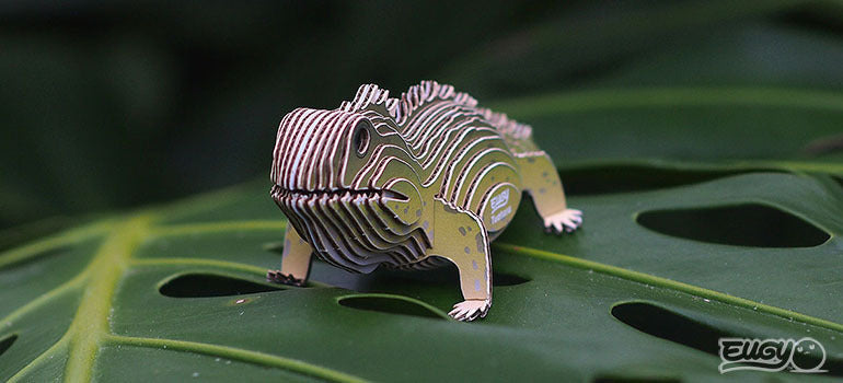 EUGY Tuatara
