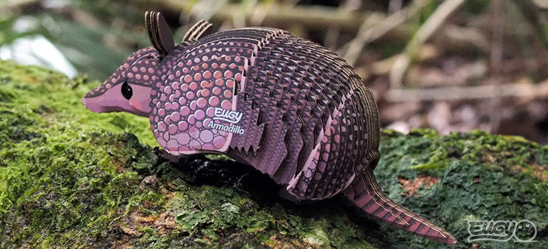 EUGY Armadillo