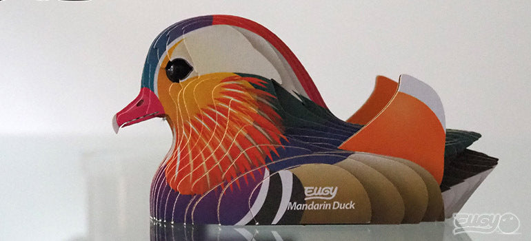 EUGY Mandarin Duck