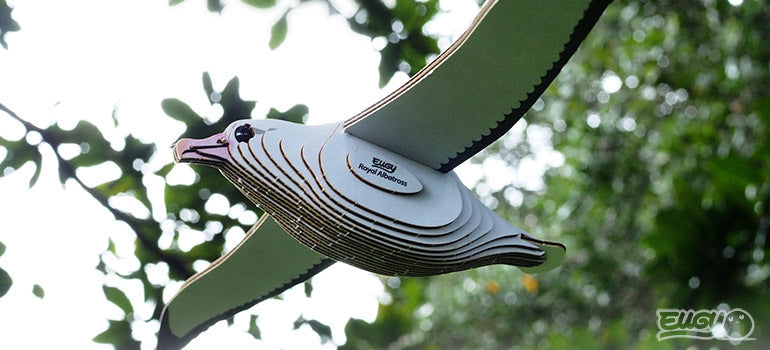 EUGY Royal Albatross