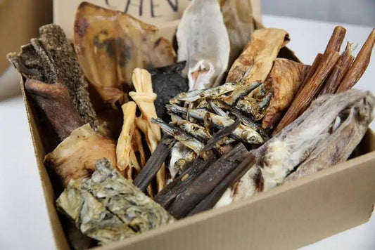 100 Piece XL Treat Box | 100% Natural Dog Treats