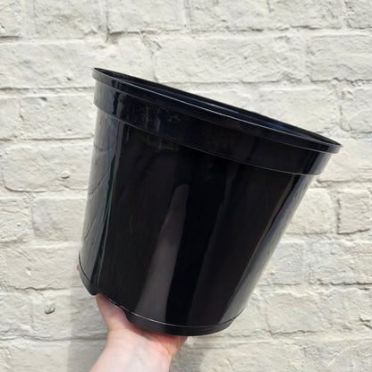 Black Plastic Nursery Pots