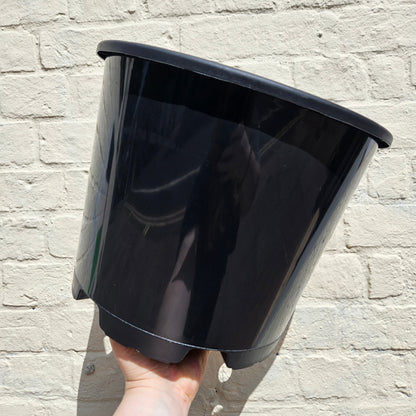 Black Plastic Nursery Pots