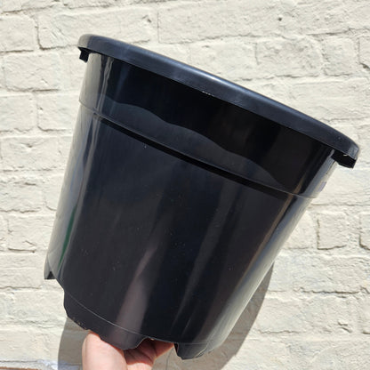 Black Plastic Nursery Pots
