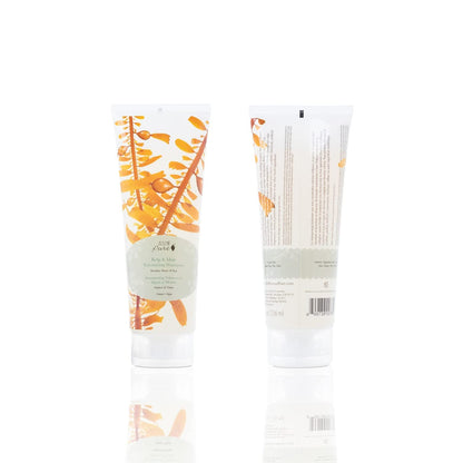 100% PURE Kelp & Mint Volumizing Shampoo – Purifying Hydration & Deep Detox, Sulfate Free
