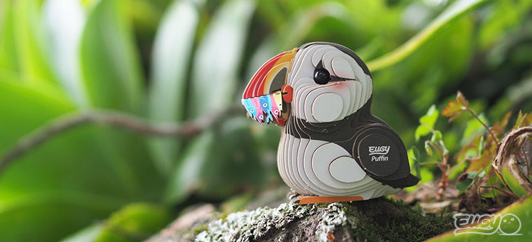 EUGY Puffin