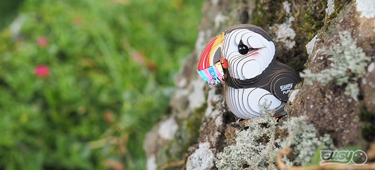 EUGY Puffin