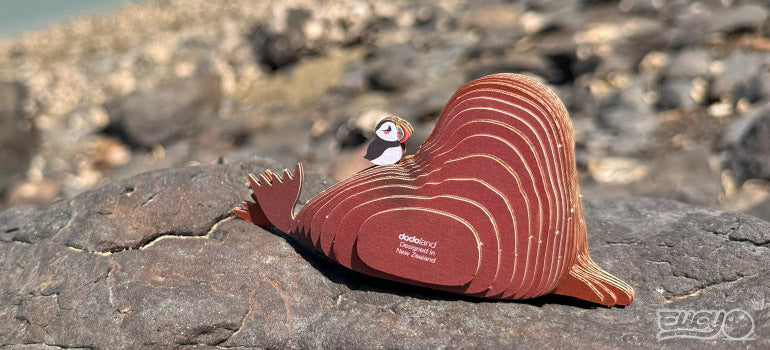 EUGY Walrus