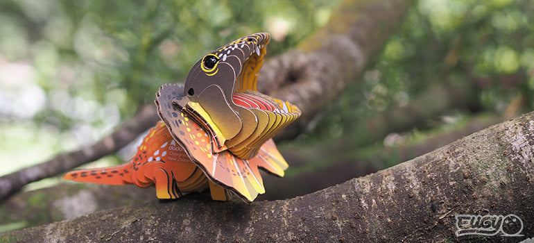 EUGY Frilled Lizard