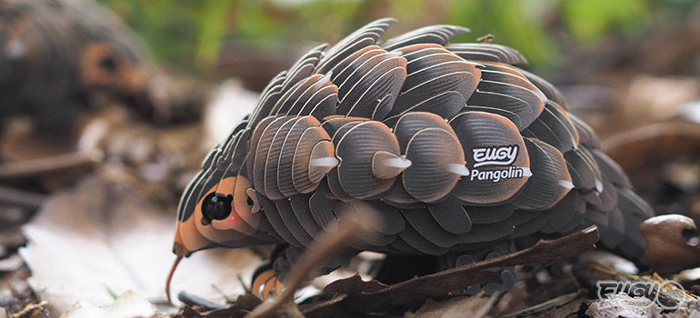 EUGY Pangolin