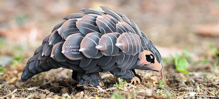 EUGY Pangolin