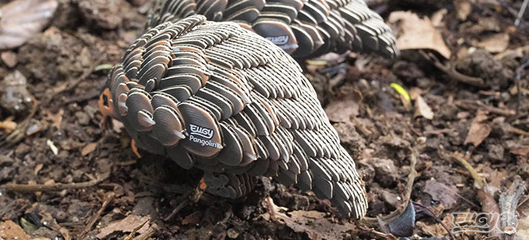 EUGY Pangolin